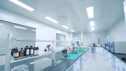 鑄就極致產(chǎn)品 打響中國智造 走進(jìn)中威時和汽車膜工廠的技術(shù)服務(wù)探索