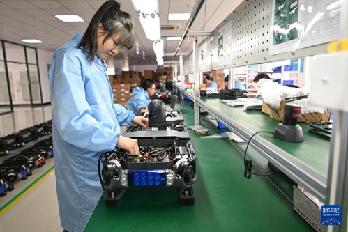 哈爾濱新區 技術服務涌動創新熱潮，引領產業振興