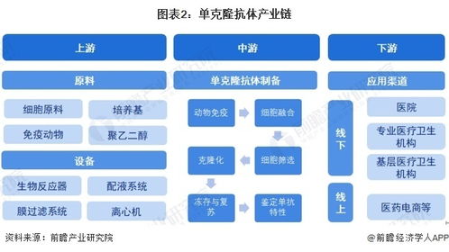 預(yù)見2024 中國(guó)單克隆抗體行業(yè)全景圖譜及計(jì)算機(jī)軟硬件開發(fā)的融合趨勢(shì)