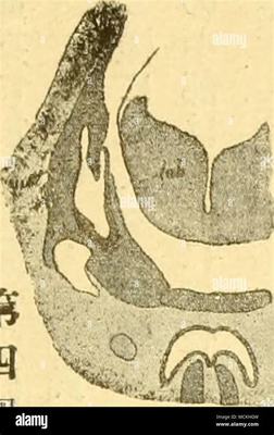 那曲小游戲代理加盟及手游代理網絡技術開發(fā)全解析